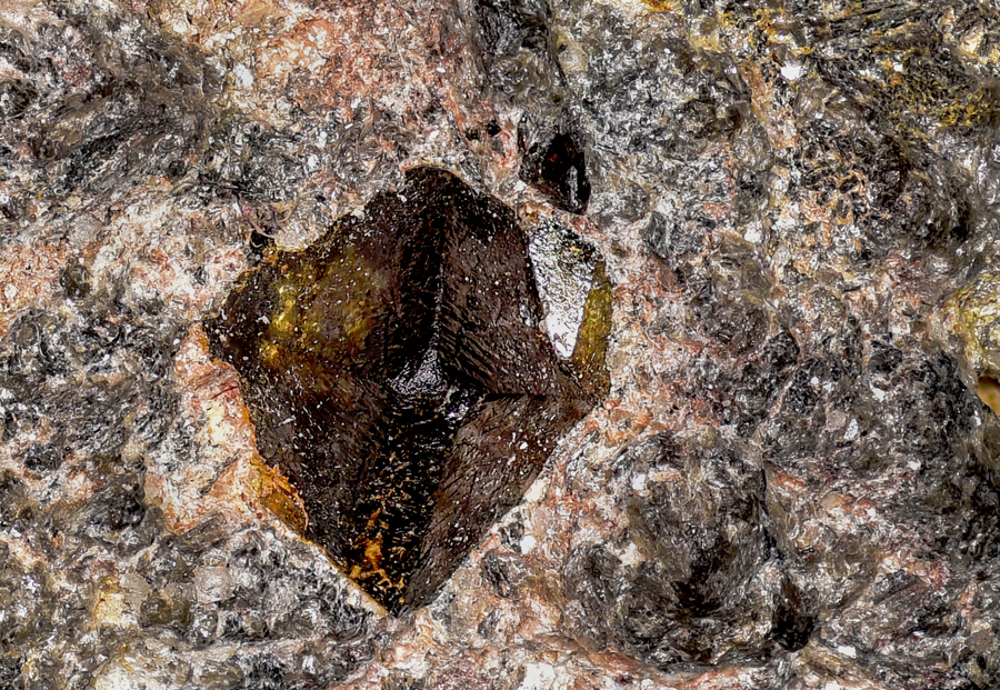 Cassiterite specimen (Tin ore - SnO2) - Ainsley Cocks
